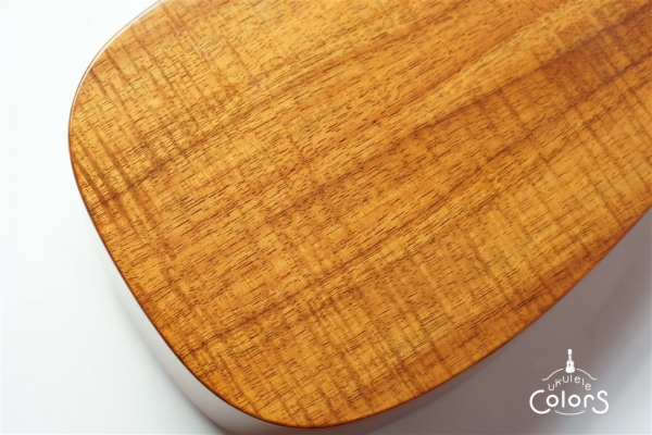 HK-PL 1st Anniversary